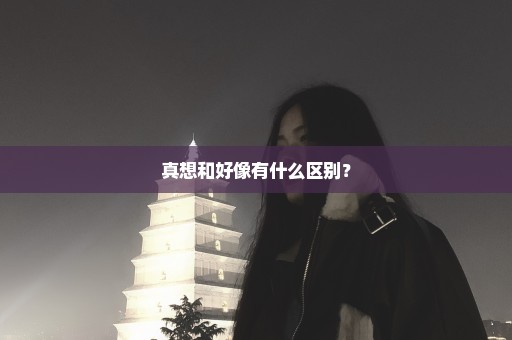 真想和好像有什么区别？