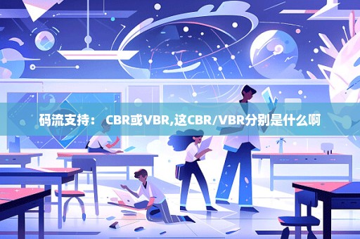 码流支持： CBR或VBR,这CBR/VBR分别是什么啊