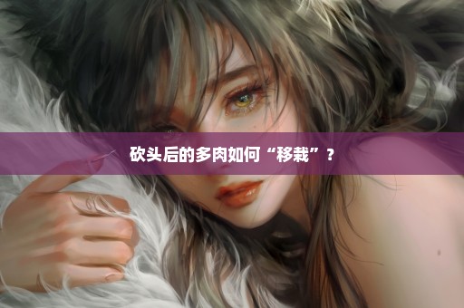 砍头后的多肉如何“移栽”？