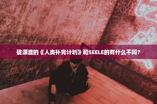 碇源渡的《人类补完计划》和SEELE的有什么不同？