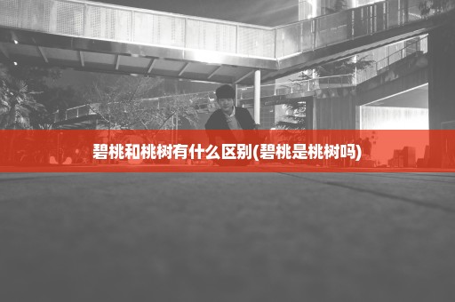 碧桃和桃树有什么区别(碧桃是桃树吗)