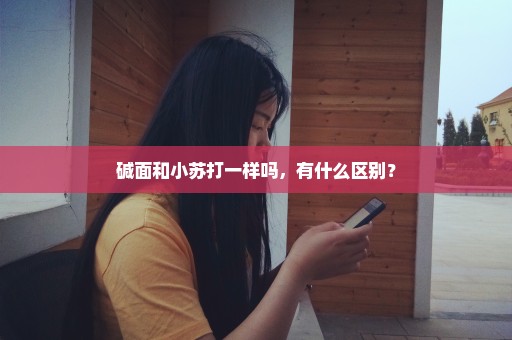 碱面和小苏打一样吗，有什么区别？