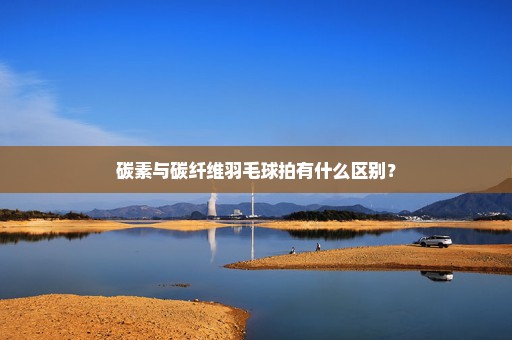 碳素与碳纤维羽毛球拍有什么区别？