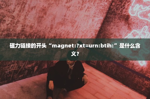 磁力链接的开头“magnet:?xt=urn:btih:”是什么含义？