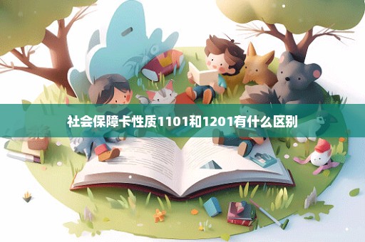 社会保障卡性质1101和1201有什么区别