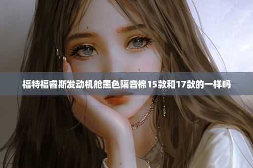 福特福睿斯发动机舱黑色隔音棉15款和17款的一样吗