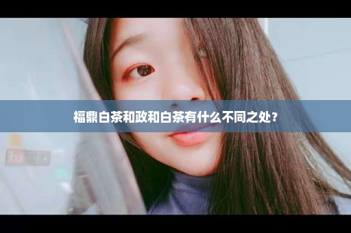 福鼎白茶和政和白茶有什么不同之处？