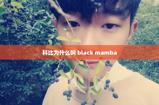 科比为什么叫 black mamba