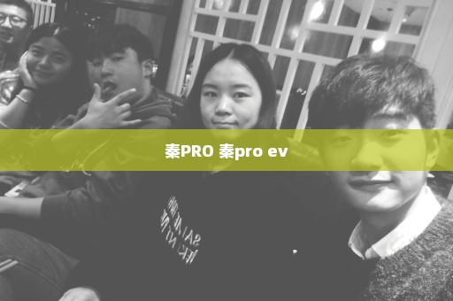 秦PRO 秦pro ev