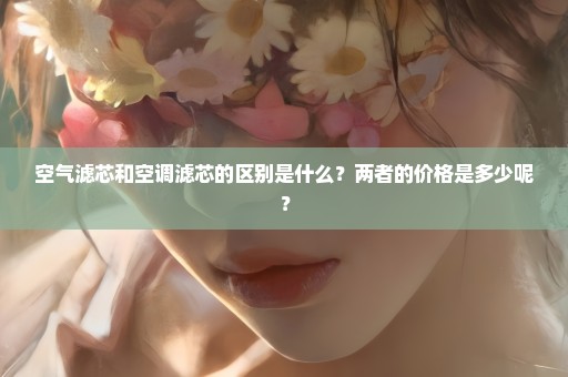 空气滤芯和空调滤芯的区别是什么？两者的价格是多少呢？