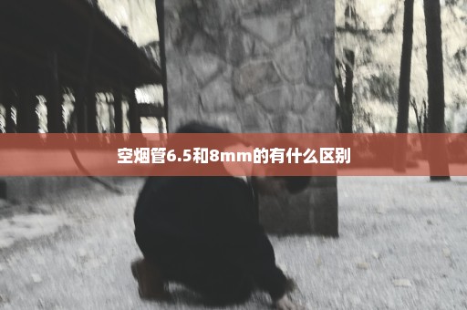 空烟管6.5和8mm的有什么区别