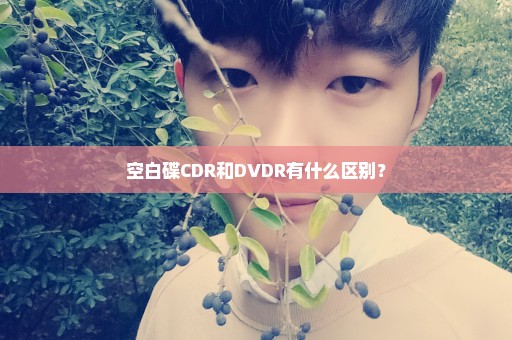 空白碟CDR和DVDR有什么区别？