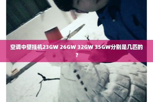 空调中壁挂机23GW 26GW 32GW 35GW分别是几匹的？