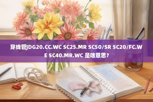 穿线管JDG20.CC.WC SC25.MR SC50/SR SC20/FC.WE SC40.MR.WC 是啥意思？