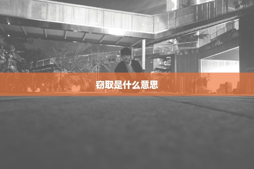 窃取是什么意思