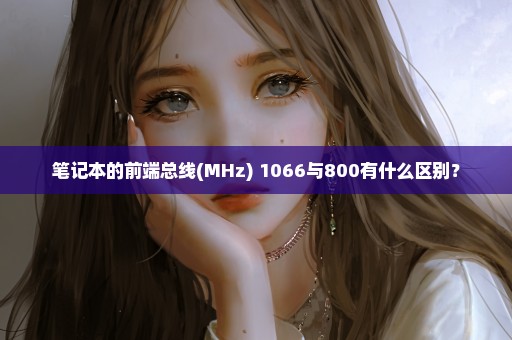 笔记本的前端总线(MHz) 1066与800有什么区别？