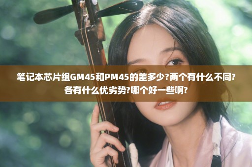 笔记本芯片组GM45和PM45的差多少?两个有什么不同?各有什么优劣势?哪个好一些啊?