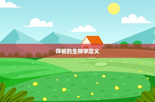 筛板的生物学定义