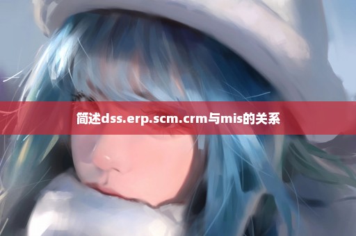 简述dss.erp.scm.crm与mis的关系