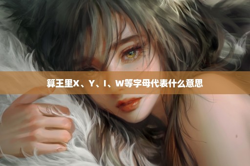 算王里X、Y、I、W等字母代表什么意思