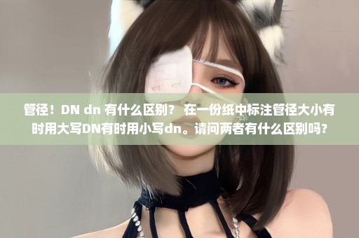 管径！DN dn 有什么区别？ 在一份纸中标注管径大小有时用大写DN有时用小写dn。请问两者有什么区别吗？