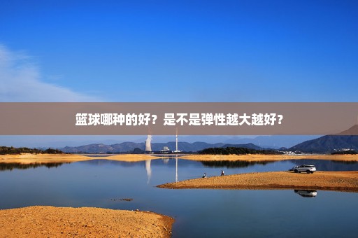 篮球哪种的好？是不是弹性越大越好？