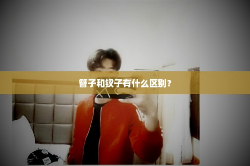 簪子和钗子有什么区别？