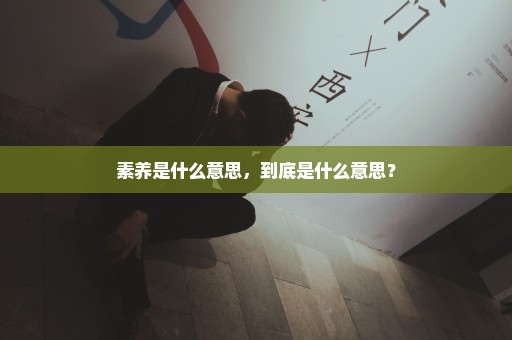 素养是什么意思，到底是什么意思？