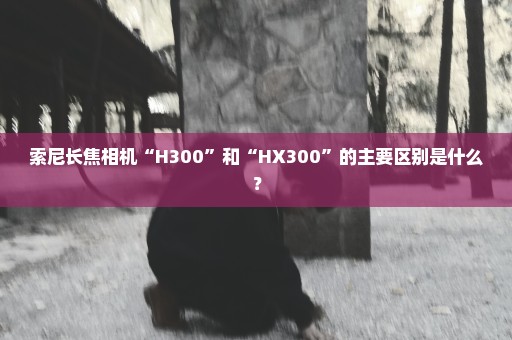 索尼长焦相机“H300”和“HX300”的主要区别是什么？