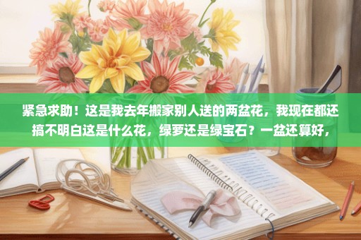 紧急求助！这是我去年搬家别人送的两盆花，我现在都还搞不明白这是什么花，绿萝还是绿宝石？一盆还算好，