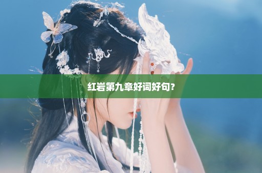 红岩第九章好词好句？