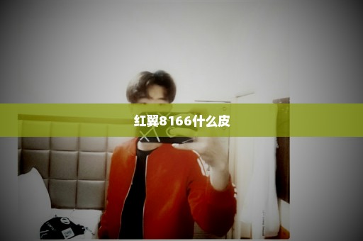 红翼8166什么皮