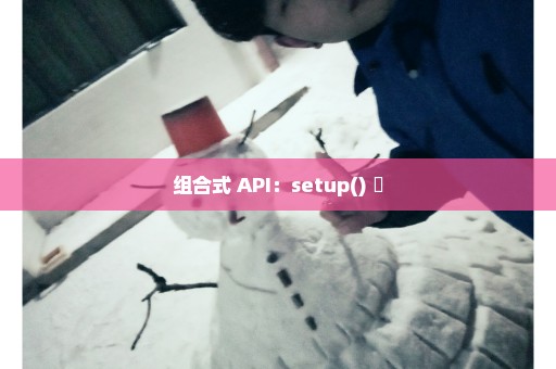 组合式 API：setup() ​