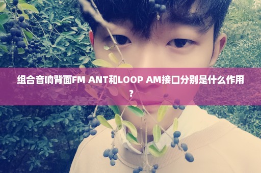 组合音响背面FM ANT和LOOP AM接口分别是什么作用？