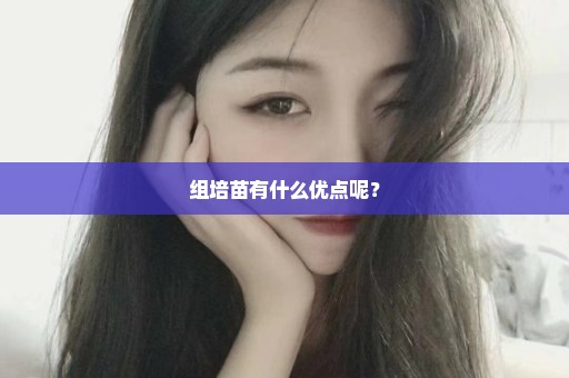 组培苗有什么优点呢？