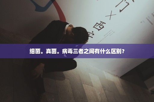 细菌。真菌。病毒三者之间有什么区别？