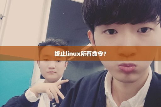 终止linux所有命令？