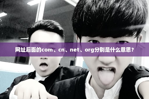 网址后面的com、cn、net、org分别是什么意思？