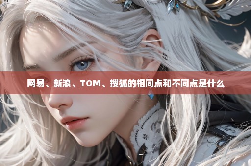 网易、新浪、TOM、搜狐的相同点和不同点是什么