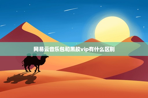 网易云音乐包和黑胶vip有什么区别