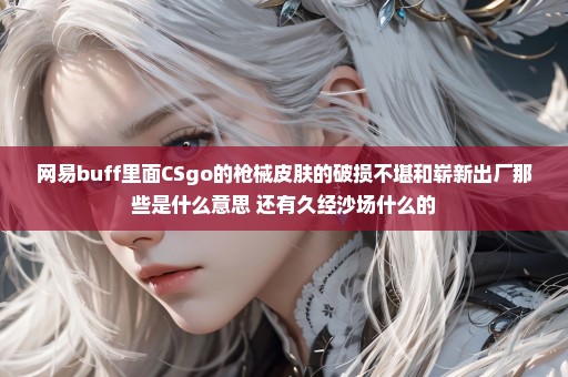 网易buff里面CSgo的枪械皮肤的破损不堪和崭新出厂那些是什么意思 还有久经沙场什么的