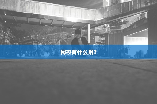 网校有什么用？