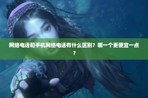 网络电话和手机网络电话有什么区别？哪一个更便宜一点？