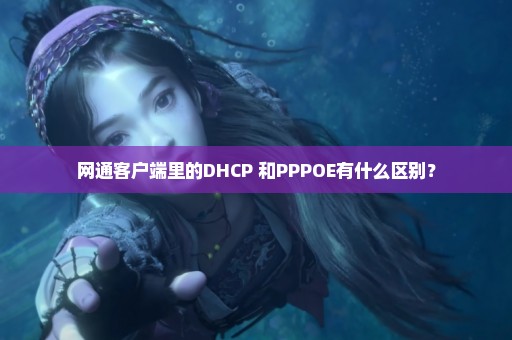 网通客户端里的DHCP+和PPPOE有什么区别？