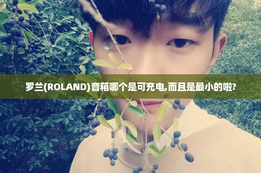 罗兰(ROLAND)音箱哪个是可充电,而且是最小的啦?