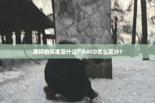 罩杯的标准是什么？ABCD怎么区分？