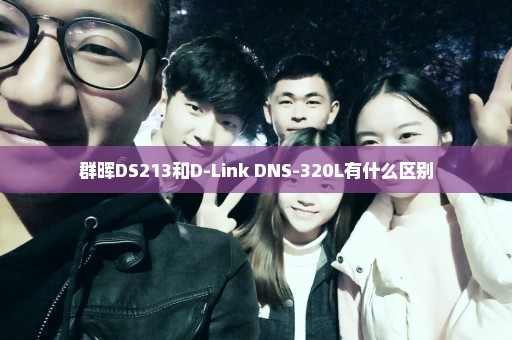 群晖DS213和D-Link DNS-320L有什么区别