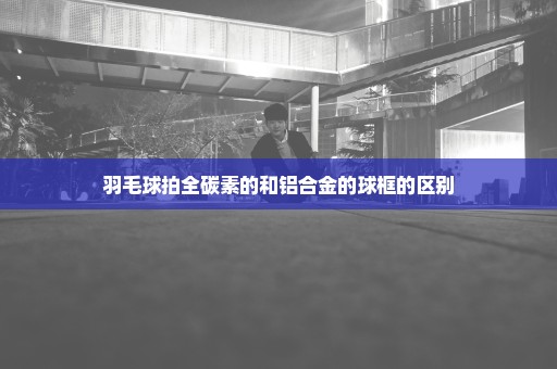 羽毛球拍全碳素的和铝合金的球框的区别