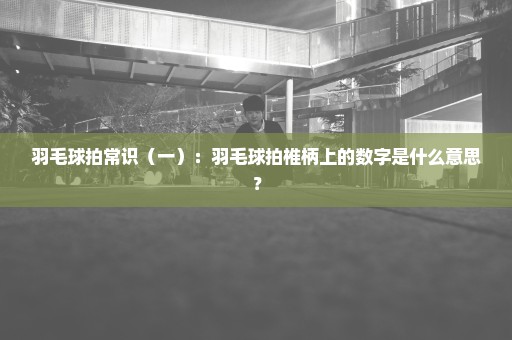 羽毛球拍常识（一）：羽毛球拍椎柄上的数字是什么意思？