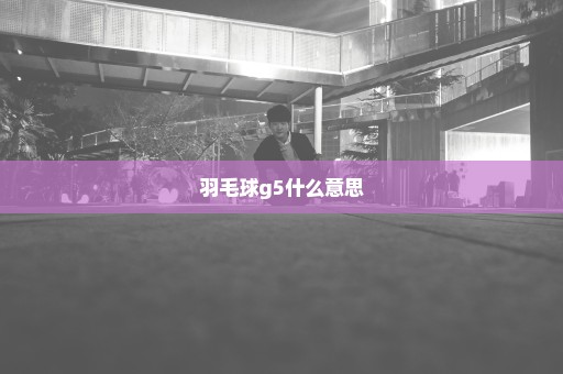 羽毛球g5什么意思